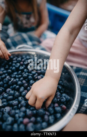 Cropped hands of sisters picking fresh blueberries from colander Stock Photo