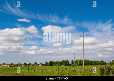 Cumulus and cirrus fibratus clouds over fields and grape vines in Moimacco, Friuli Venezia Giulia, north east Italy Stock Photo