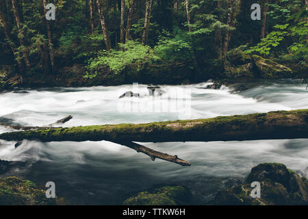 Sol Duc River flowing in forest at Olympic National Park Stock Photo
