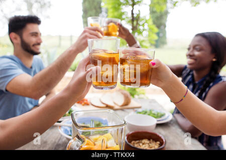 https://l450v.alamy.com/450v/ttkxx4/friends-toasting-iced-tea-glasses-at-outdoor-table-ttkxx4.jpg