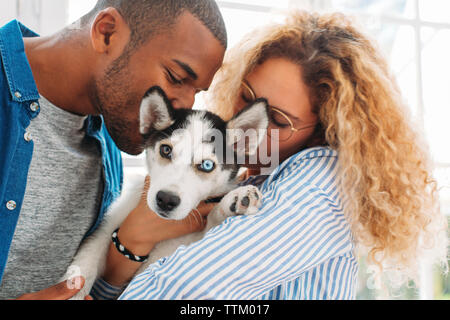 Multi-ethnic couple kissing Siberian Husky at home Stock Photo