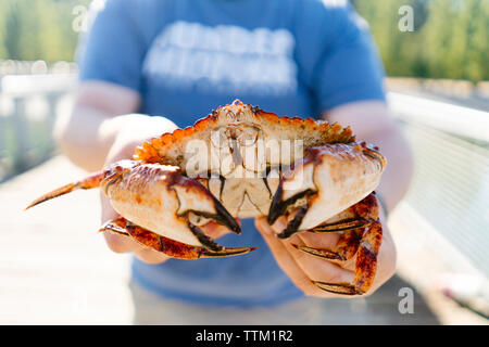 Midsection of man holding crab while standing at Kayak Point County Park Stock Photo