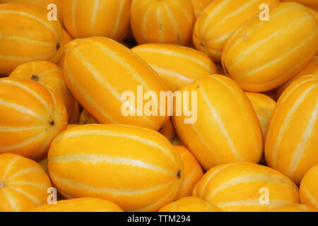 Delicious korean stripe yellow  melon fruit food in red 