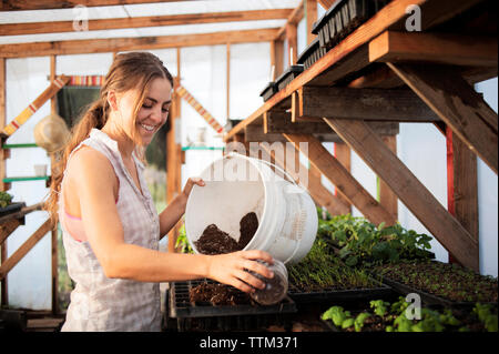 Happy female farmer pouring mud in seedling tray at greenhouse Stock Photo