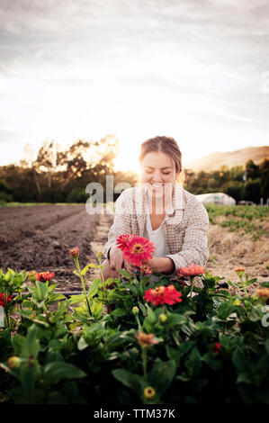 Happy female farmer working on flowering field against sky Stock Photo