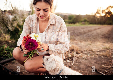 Female farmer holding beautiful flowers with dog on field Stock Photo