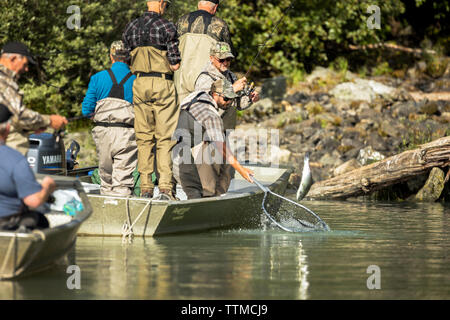 USA, Alaska, Redoubt Bay, Big River Lake, fishermen netting fish at Wolverine Cove Stock Photo