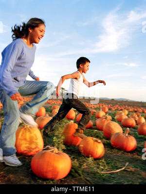 USA, California, happy girl and boy running in the pumpkins at Bob's Pumpkin Patch, Half Moon Bay Stock Photo