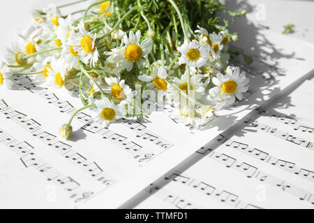 Chamomile bouquet on music notes Stock Photo