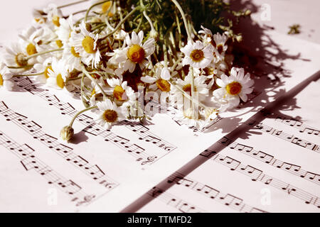 Chamomile bouquet on music sheets background Stock Photo