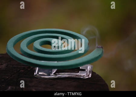 Burning mosquito coil spiral repellent Stock Photo