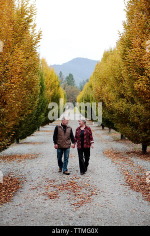 USA, Oregon, Medford, Cal and Judy Schmidt stand among the trees on their farm, Schmidt Family Vineyards is located in the beautiful Applegate Valley Stock Photo