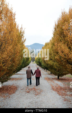 USA, Oregon, Medford, Cal and Judy Schmidt stand among the trees on their farm, Schmidt Family Vineyards is located in the beautiful Applegate Valley Stock Photo