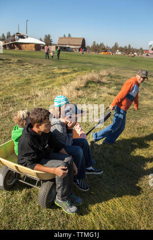 USA, Oregon, Bend, young kids play around in a wheelbarrow during the annual pumpkin patch located in Terrebone near Smith Rock State Park Stock Photo