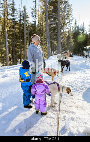 USA, Oregon, Bend, a young boy and girl play with the sled dogs at Mt. Bachelor