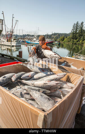 USA, Washington State, Ilwaco, the Port of Ilwaco located on the Southwest coast of Washington just inside the Columbia River bar, Jessie's Ilwaco Fis Stock Photo