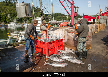 USA, Washington State, Ilwaco, the Port of Ilwaco located on the Southwest coast of Washington just inside the Columbia River bar, Jessie's Ilwaco Fis Stock Photo