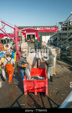 USA, Washington State, Ilwaco, the Port of Ilwaco located on the Southwest coast of Washington just inside the Columbia River bar, Jessie's Ilwaco Fis Stock Photo