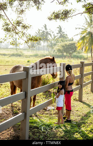 HAWAII, Oahu, North Shore, woman and her daughter petting a horse at Dillingham Ranch in Waialua