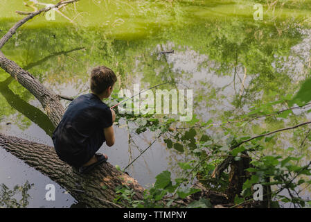 Full length of boy fishing while crouching on fallen tree in lake at forest Stock Photo