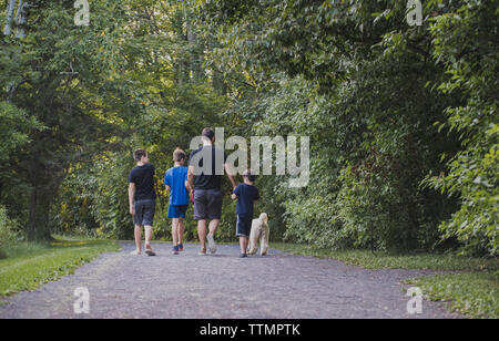 Rear view of father with sons and dog walking on footpath amidst trees at park Stock Photo