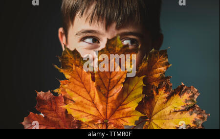 Close-up of boy looking away while covering face with autumn leaves against colored background Stock Photo