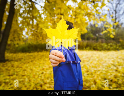 Child holding yellow autumn leaf out on outstretched arm in park Stock Photo