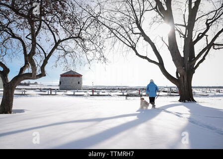 Woman walking dog near tower and docks on waterfront on a snowy day. Stock Photo