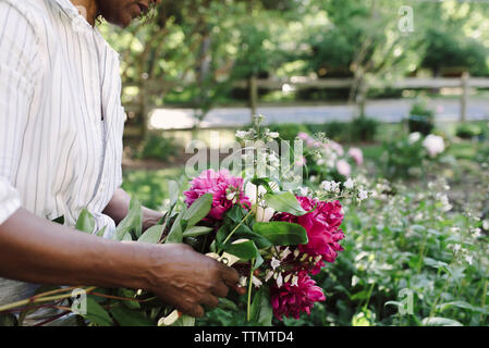 Midsection of woman holding freshly harvested flowers in garden Stock Photo