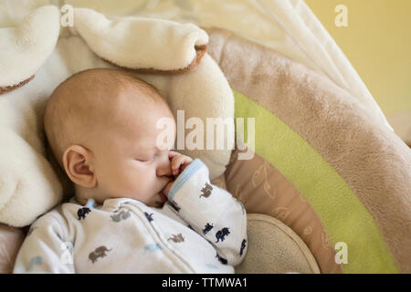 High angle view of baby boy sucking thumb while sleeping in bassinet Stock Photo