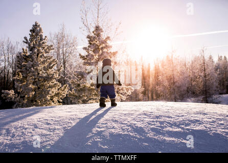 Rear view of boy standing on snow covered field in forest Stock Photo