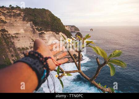 Cropped hand of man reaching towards flower against sea during sunset Stock Photo