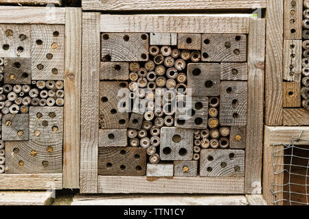 Home made nest boxes for solitary bees and other insects - the holes with sealed ends have already been occupied (UK) Stock Photo