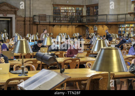 December 2017. A group of people studying at the Rose Main Reading Room in the New York Public Library, in New York, USA Stock Photo