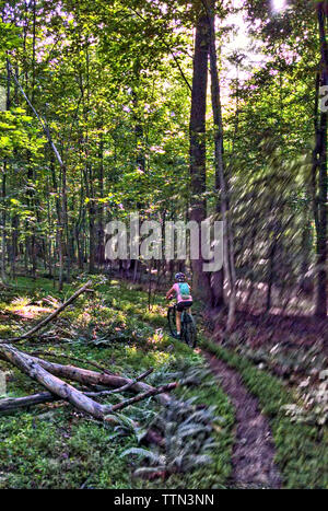 UNITED STATES: June 19, 2016: Mountain biking at the Freedom Center near Lockets in Loudoun County Virginia. (Photo by Douglas Graham) Stock Photo