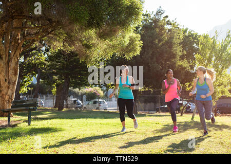 Friends jogging on grassy field in park Stock Photo