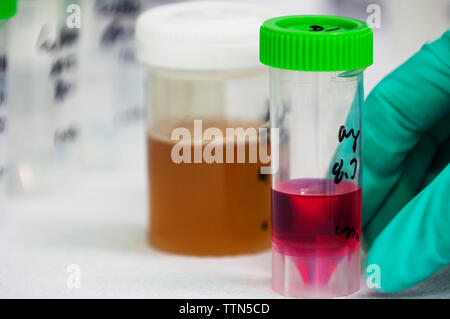 Close-up of samples in container Stock Photo