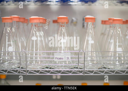 Close-up of flasks in laboratory Stock Photo
