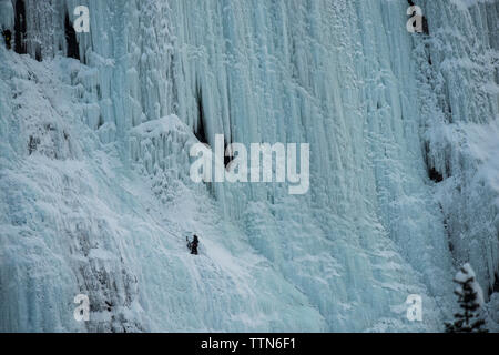 Hiker ice climbing on frozen weeping wall at Icefields Parkway Stock Photo
