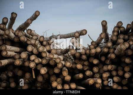 Logs at lumber industry against sky Stock Photo