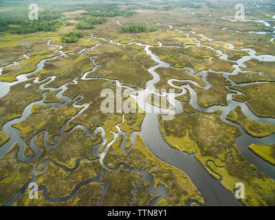 Scenic view of swamp at Chassahowitzka Wildlife Refuge Stock Photo