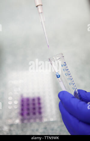 Scientist using pipette in laboratory Stock Photo