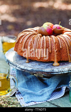 Close-up of chocolate bundt cake with herbal tea on table in yard Stock Photo