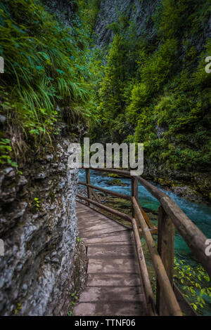Vintgar Gorge, National Park Triglav, Gorenjska, Slovenia Stock Photo