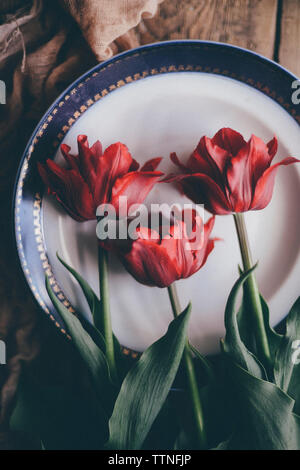 Overhead view of tulips in plate on table Stock Photo