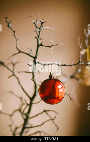 Close-up of red bauble hanging on twig at home during Christmas Stock Photo