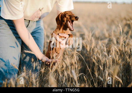 Woman holding dachshund puppy outdoor Stock Photo