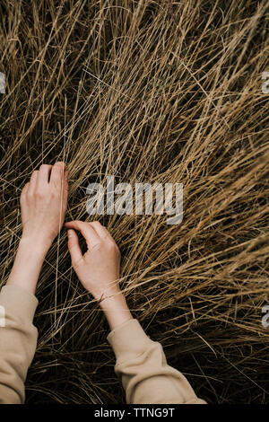 Young woman hands touching dry autumn grass Stock Photo