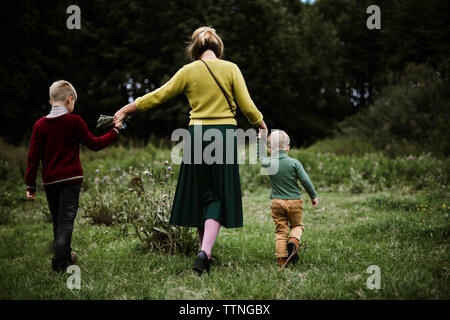 A trio of family walking from behind  in the forest. Stock Photo