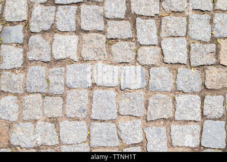 Download Cobblestone Pathway iOS 6 Wallpaper | Wallpapers.com